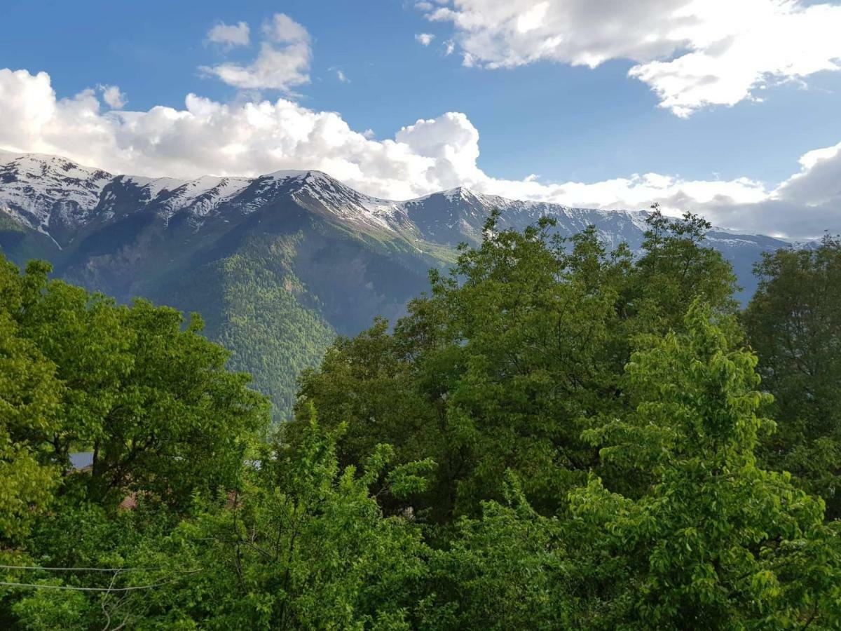 Lerimari Hotell Mestia Exteriör bild